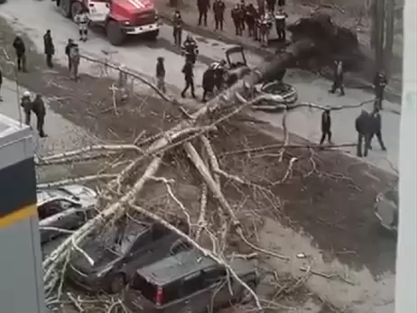 Буревій у Росії зриває дахи та з коренем вириває дерева