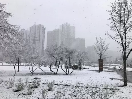 Погода в Україні 20 листопада: сніг з дощем та штормовий вітер