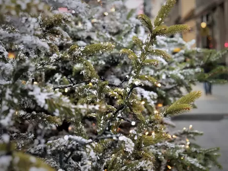 Новогоднюю елку во Львове вместо звезды украсят противотанковым ежом