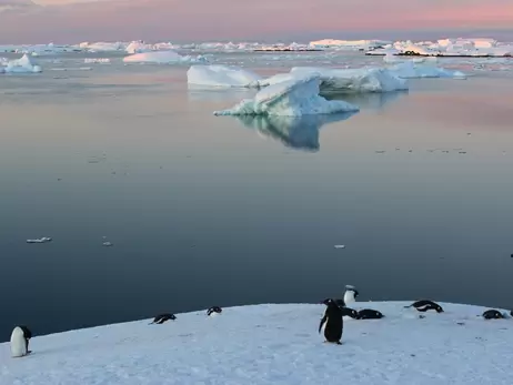 В День Антарктиды украинские полярники рассказали о вреде, нанесенном континенту человечеством