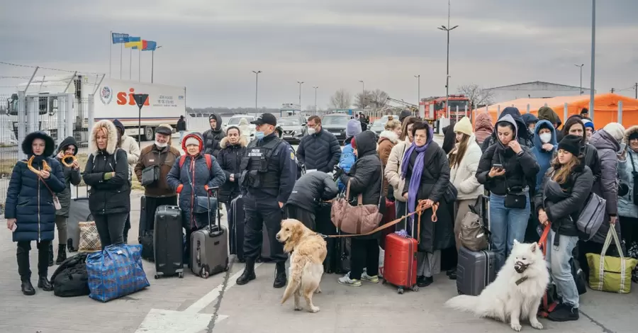 В Нидерландах депутат предложила отправить украинских беженцев домой