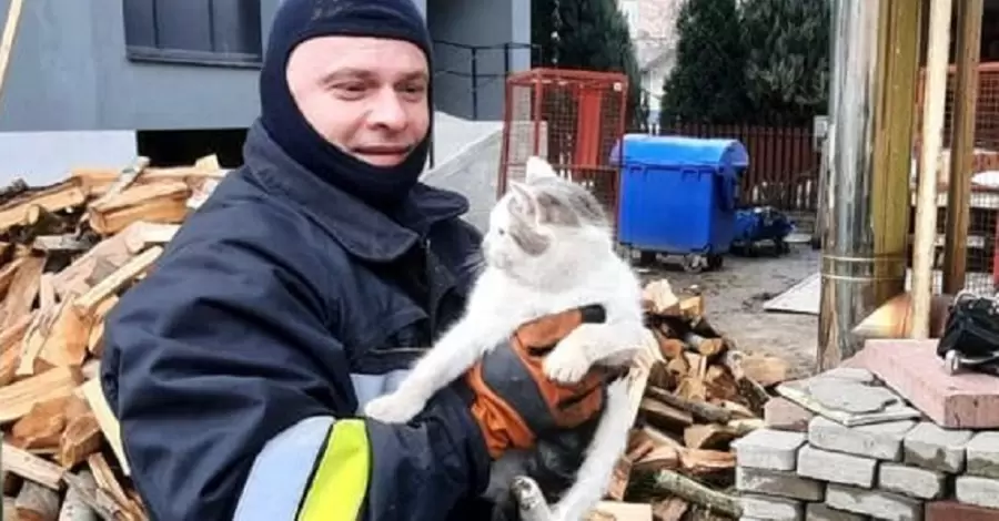 На Прикарпатье спасатели освободили кота из отверстия бетонной плиты