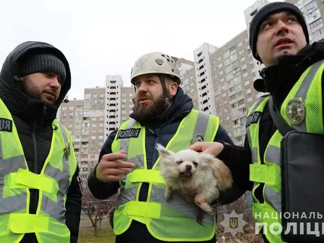 У Києві поліцейські врятували собаку, заблокованого у зруйнованій квартирі після обстрілу