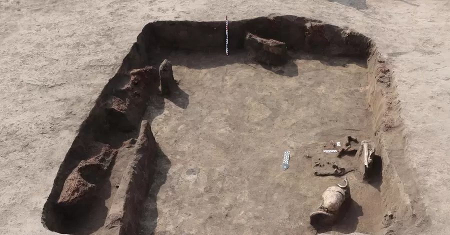Знайдені в Україні кам’яні знаряддя можуть бути найдавнішими в Європі