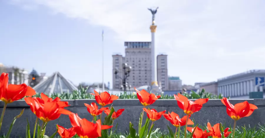 В Киеве расцвели первые тюльпаны - тысячи цветов украсили районы столицы