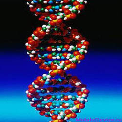 Разработан универсальный тест выявления генетических мутаций 