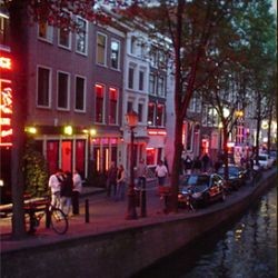 В Амстердаме закрывают 241 публичный дом 
