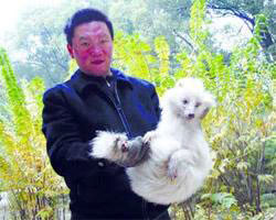 Китаец вырастил собаку, которая на самом деле - редкий песец ФОТО