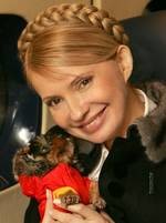 Тимошенко отменила налог на собак 