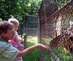 В Киевском зоопарке можно за деньги поухаживать за животными 