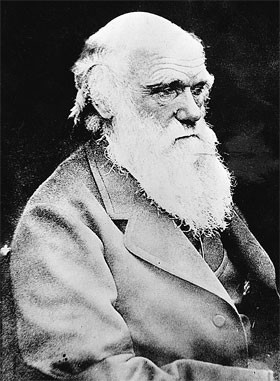 Дарвин был прав! 