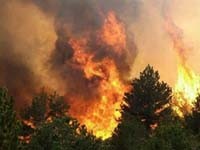 В России горят сотни гектаров леса 