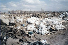 Украинский Кабмин просит японцев сжечь накопившийся мусор 