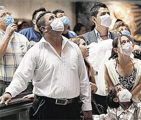 Дойдет ли до Украины мексиканский свиной грипп? 