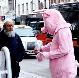 В Египте христиане спасают свиней от ножей мусульман, которые обеспокоены свиным гриппом 