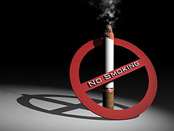 Депутаты принимают закон о запрете курения 