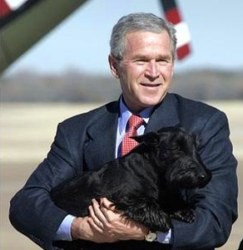 Джордж Буш почувствовал себя человеком, собирая испражнения своего пёсика 