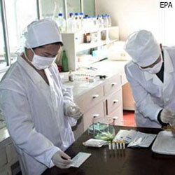 В Одессе нашли шесть человек, у которых мог быть свиной грипп? 