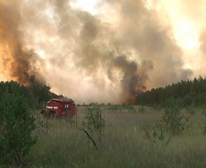 Лесной пожар в Луганской области принес убытков на 100 миллионов 