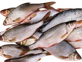 В Киеве продается опасная для здоровья рыба 