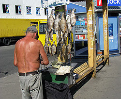 На рынках торгуют несвежей рыбой 