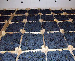 Столичные таможенники задержали груз с 56 тоннами свежего винограда 