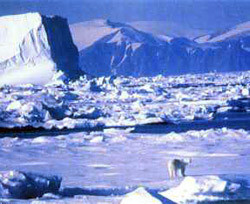 США и Канада отправляют в Арктику экспедицию 