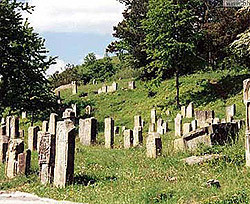 Киеву не хватает 120 га кладбищ 