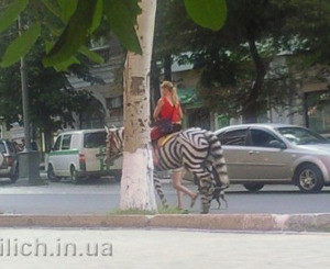 Дончанка превратила лошадь в зебру  