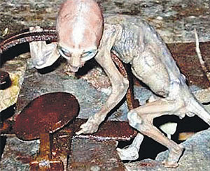 В Мексике нашли «крошку-инопланетянина» 