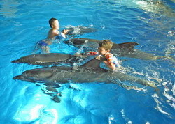Наши дельфины лечат эстонских детей 