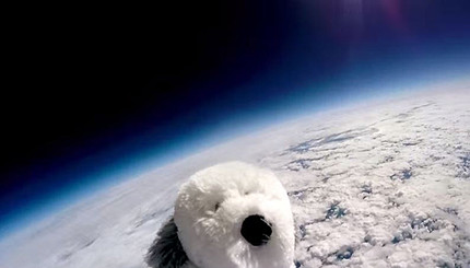 Плюшевая собачка потерялась в космосе