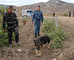 Виноград в Феодосии охраняют бойцы «Тигра» 
