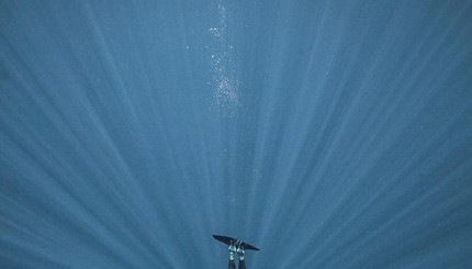 Фотограф показал, как выглядит серфинг глазами акулы