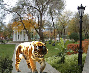 Из румынского зоопарка сбежали тигры  