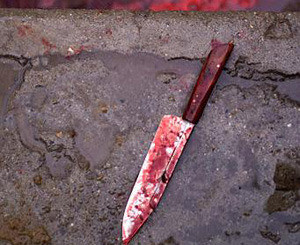 В Ровно зверски убили 10-летнюю девочку  