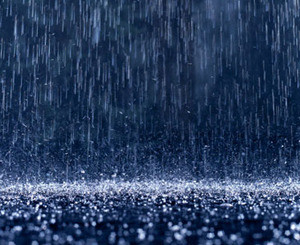 В Житомире из-за отсутствия дождей могут ограничить подачу воды 