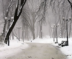 В парках Киева появятся зоны для зимнего отдыха 