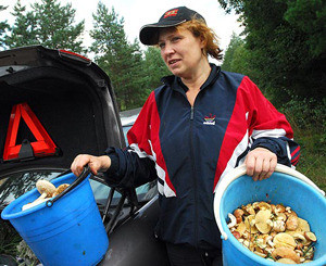 В Днепропетровске запретили продавать дикорастущие грибы  