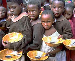 Число голодающих в мире превысило миллиард человек 
