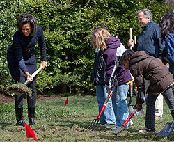Мишель Обама закрыла огород на лужайке у Белого дома 