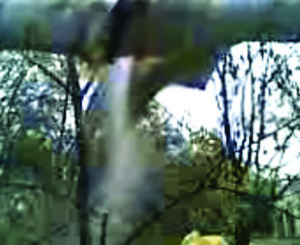 В центре Луганска 3 дня бьют два фонтана кипятка 