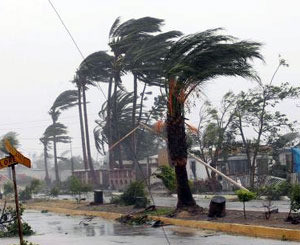 В Сальвадоре ураган «Ида» убил 134 человек 