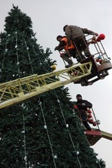 Главная крымская  елка «вырастет» к 19 декабря 