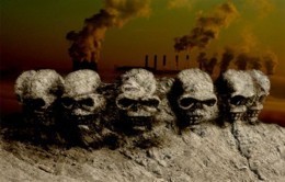 В Севастополе строители сваливают грунт прямо на деревья 