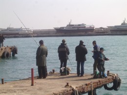 В Черном море запретили ловить рыбу 
