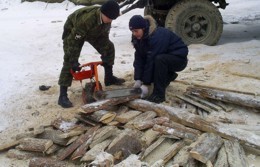 В Крыму школьники спилили тополь, чтобы согреться 