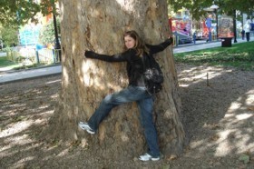 Крымские деревья-старожилы возьмут под охрану 