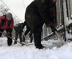 Нардепы просят ООН спасти заваленных снегом украинцев 