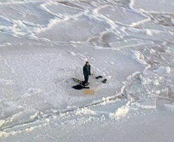 Снятый со льдины мужик убежал от спасателей  